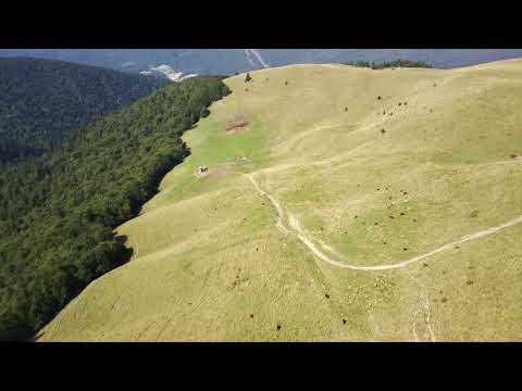 Azuga, bergerie dans la montagne