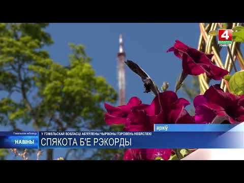 Аномальная жара в Гомельской области побила рекорды почти за 90 лет видео