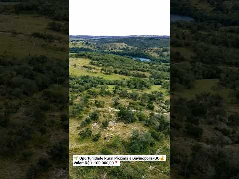 🌱 Oportunidade Rural Próxima a Davinópolis-GO💰 Valor: R$ 1.100.000,00📍