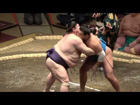 Jan 2021, Day 5: Daieisho, Meisei, Akiseyama battle for the lead + Hakuho recovers