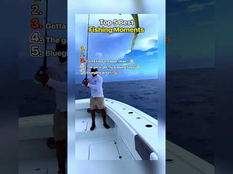Top 5 Best Fishing Moments 🎣 #tiktok #best #fishing