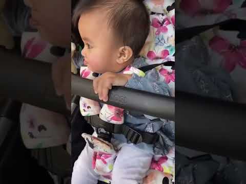 Hora das compras no Watertown Brand Outlet Center | Perth City #shorts #familyvlog #familytime