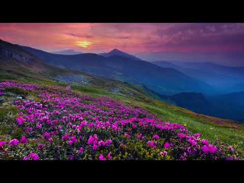 Ivory Coast I Judah Earl #music #cinematic #rest