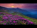 Ivory Coast I Judah Earl Music Cinematic Rest