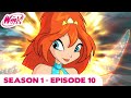 Winx Club - Season 1 Episode 10 - Bloom Tested - [FULL EPISODE]