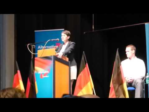 AfD Veranstaltung 27.04.2017 in Kelkheim (HD)