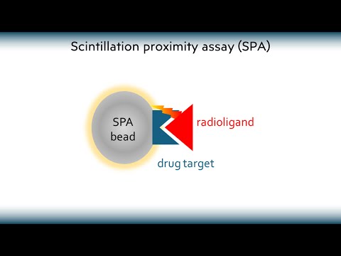 Scintillation proximity assay.  What it is, how it works and what it is used for.