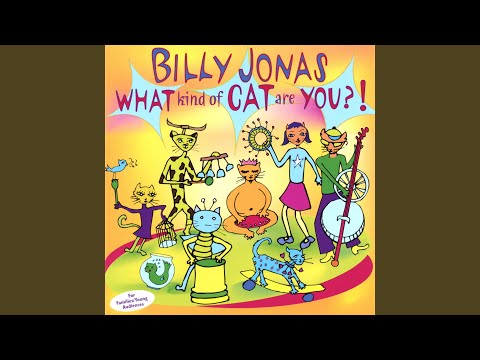 YouTube video about: What kind of cat are you lyrics?