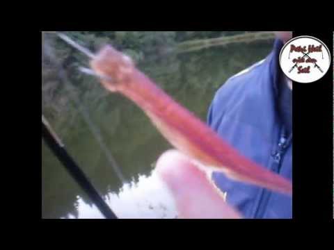 Angeln - Petri Heil nix am Seil [RAUBFISCHANSITZ]