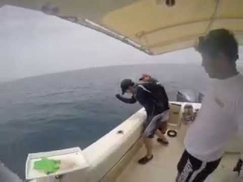 Negrillo en arrecife alacranes. A mano. Grouper fishing. Hand fishing, big grouper.