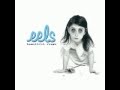 Eels - Lucky Day In Hell (album version) 