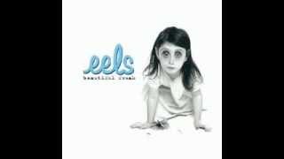 Eels - Lucky Day In Hell (album version)