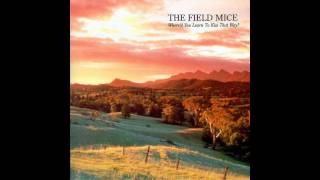 The Field Mice - This Is Not Here (1998 Mix)