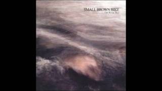 Small Brown Bike - A Declaration of Sorts