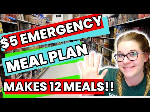 $5 Meal Plan | EXTREME EMERGENCY BUDGET CHALLENGE | Lunch & Dinner | Makes 12 Meals