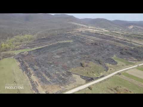 Peisaj dezolant după incediile de vegetație de la Coșteiu de Sus, Timiș