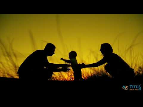 Triolac Baby food Cereals - Rice, After 6 months, Titus Health Tech Pvt Ltd