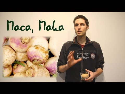 Maca – účinky, rizika a kompletní profil