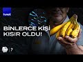 How The Banana Industry Ruined The Lives Of Thousands