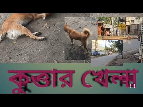 কুত্তার খেলা , Director Mohammad shahabuddin.