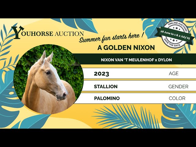 A Golden Nixon