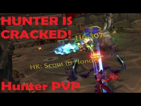 Marksman Hunter Damage is INSANE! | Dragonflight  lvl 70 MM Hunter PVP