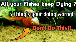 All Your fish keep dying 5 things that your doing wrong