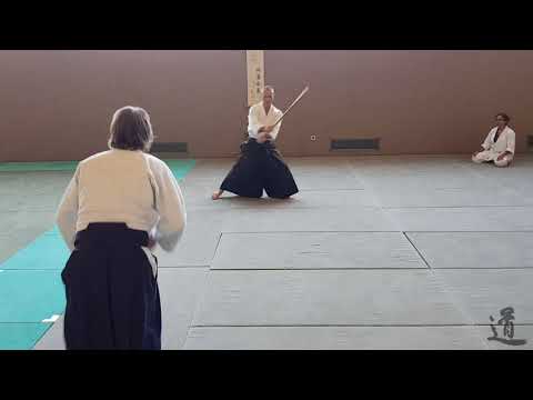 Traditional Aikido Europe - WHAT IS THAT MOVEMENT? - Lewis Bernaldo de Quiros