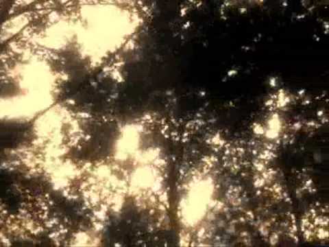 Skyteasee - SKYTEASEE - "100" (DEMO)