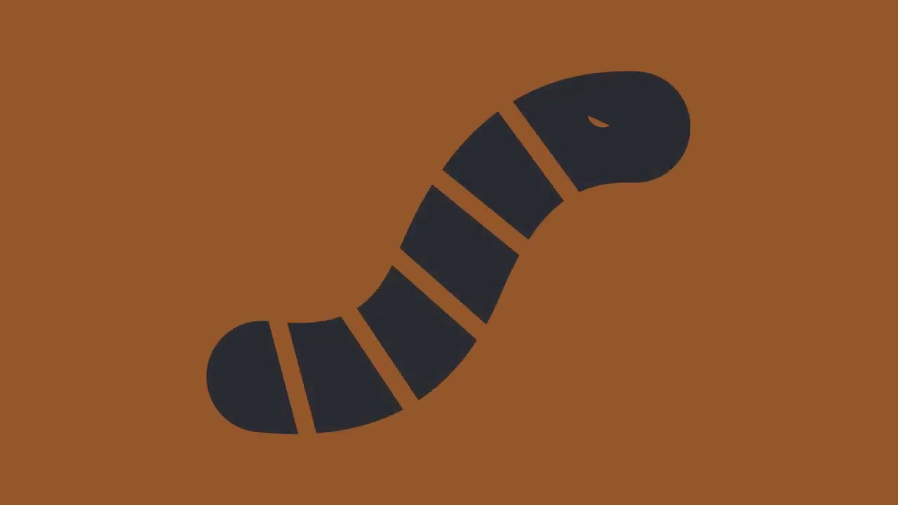 What is a Computer Worm?