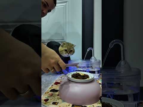 Bal dualarınızı bekliyor 🥹❤️