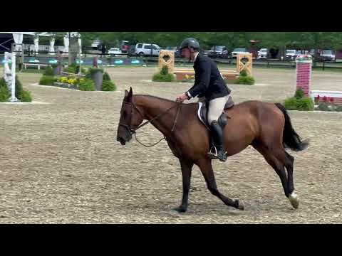 CMS Benevolent video 2