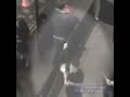 Violadores se abrazaron después de filmar el ataque