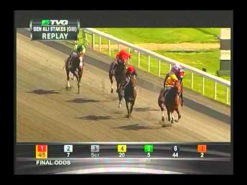2013 Ben Ali Stakes - Successful Dan