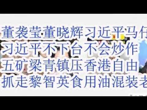 董袭莹老爸董晓辉是习近平马仔。习近平不下台，也不会这么炒作。冶金工业部是习近平的大本营。五矿老板梁青镇压香港自由，抓走黎智英。食用油矿物油混装运输幕后老板王忠禹