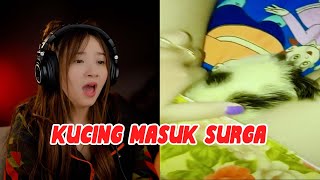 Download lagu AWAS KERINGET DINGIN || Mei-reaction mp3 Download lagu AWAS KERINGET DINGIN || Mei-reaction mp3