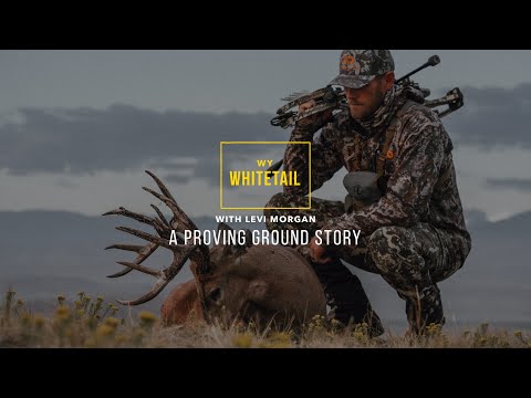 Wyoming Whitetail with Levi Morgan // Mathews V3X Proving Ground