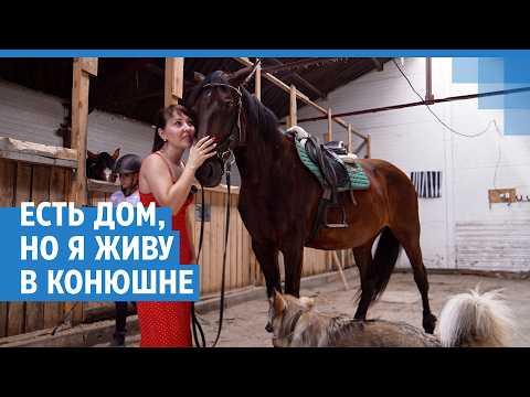 «У меня есть квартира, но живу в конюшне»: сибирячка открыла конный клуб