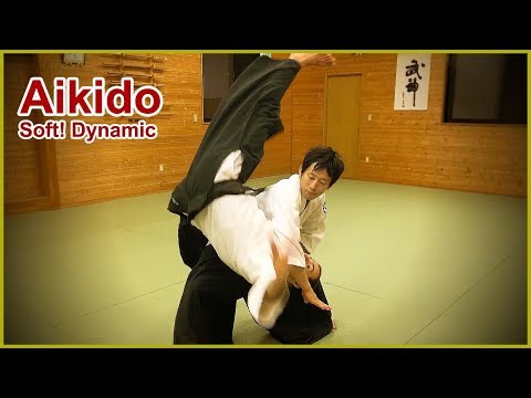Aikido Soft! Dynami and Fluid movement - Shirakawa Ryuji shihan