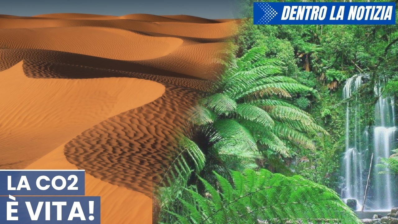 Aumento di CO₂ nell'atmosfera: il Sahara si è ristretto dell'8% e il 50% del pianeta è più verde!