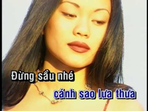 [Karaoke] Tình Nồng - Tô Chấn Phong - DVD Gốc