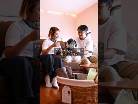 絵本・読み聞かせナレーション承ります イメージ1