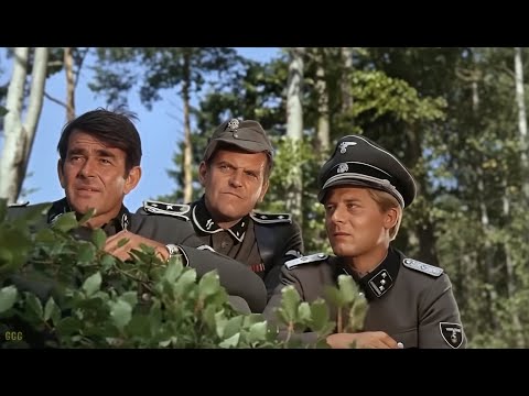 Cult Cinema Classics and World at War