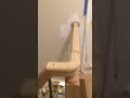 IMG 1955