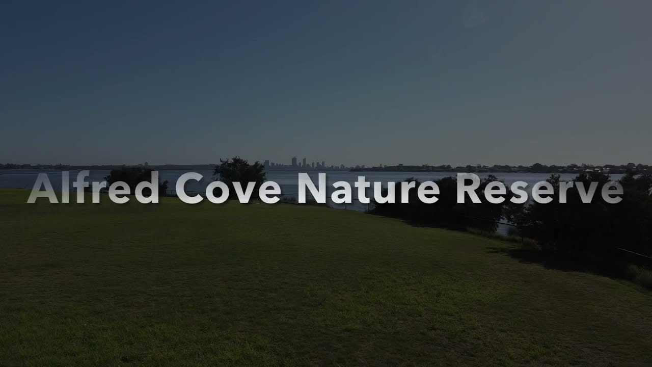 Experience the captivating aerial vistas of Alfred Cove Nature Reserve.