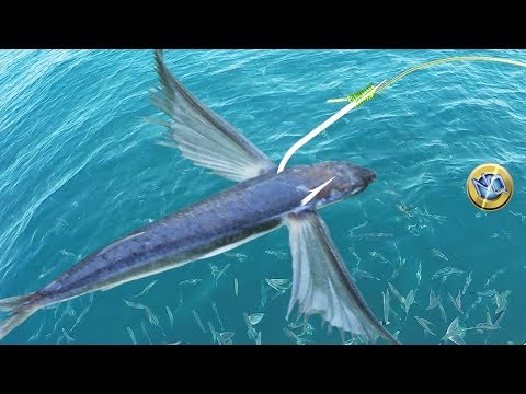 download lagu mp3 mp4 Nape Fish, download lagu Nape Fish gratis, unduh video klip Nape Fish