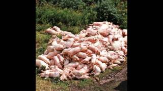 Marvin Santiago - El Comelon