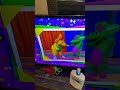 Barney Top 20 Countdown Theme Song