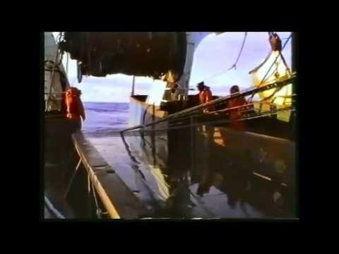 Veiðar á alaskaufsa, mynd 1