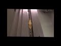 Přehrát video